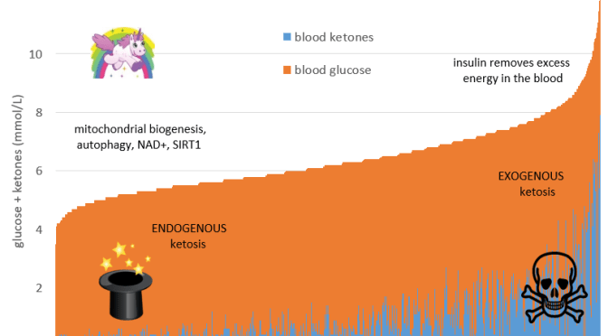 Blood Ketone Levels Chart